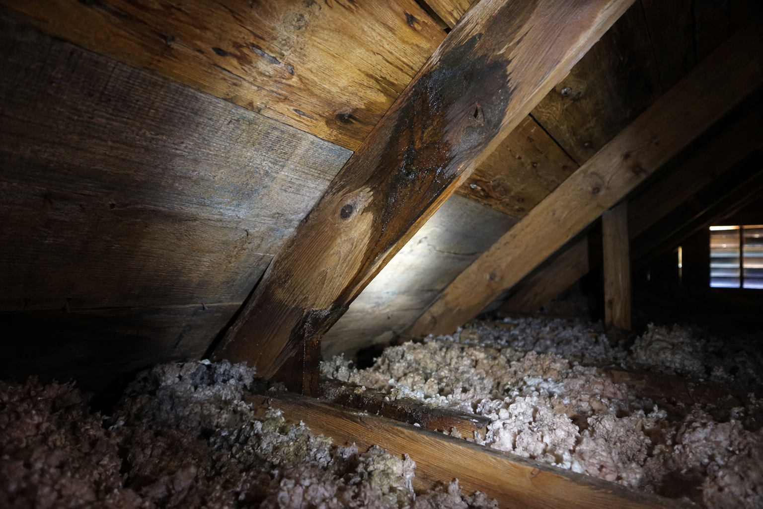 Flashlight beam on a water-stained attic rafter with a streak running down to the joists